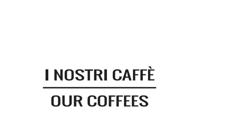 Espresso, moka, filtro, V60 e Chemex