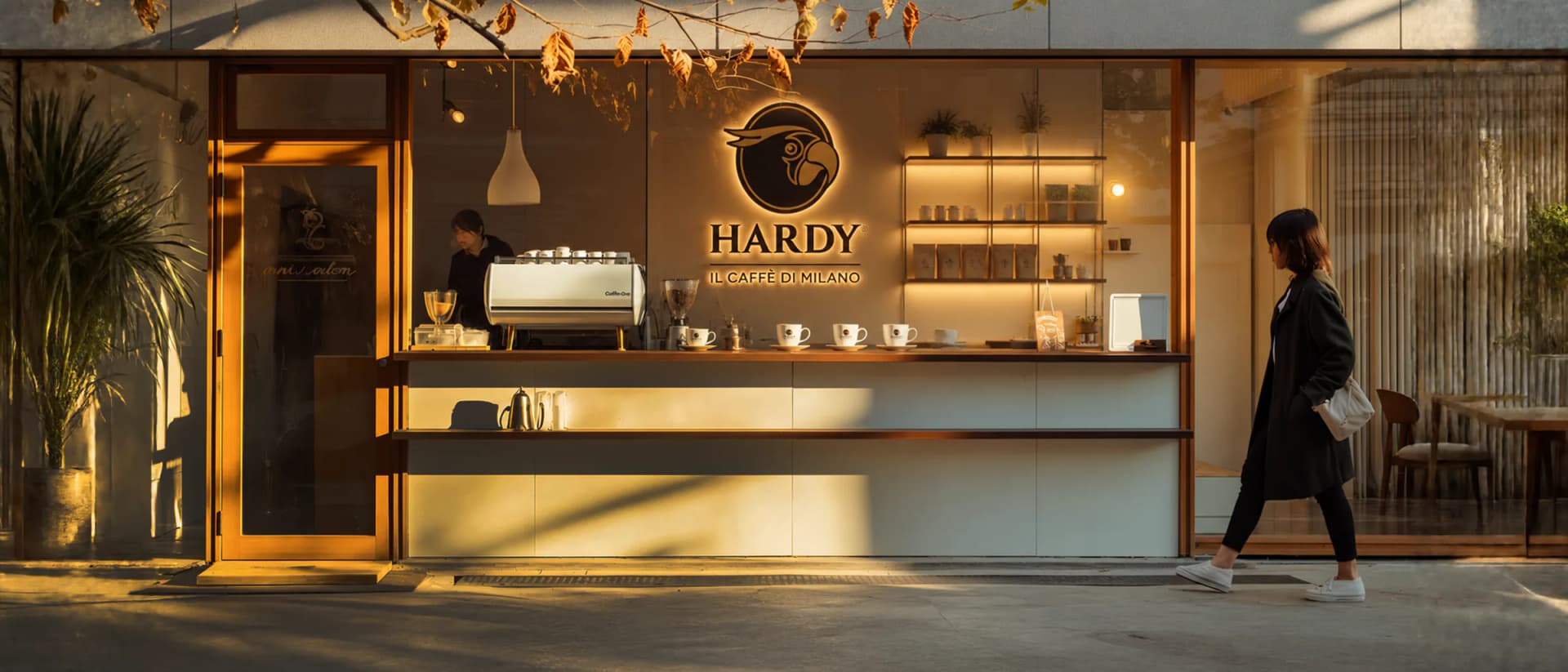 Hardy network worldwide — branded Hardy umbrellas