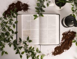 Non solo da bere. 7 modi alternativi per usare il caffé